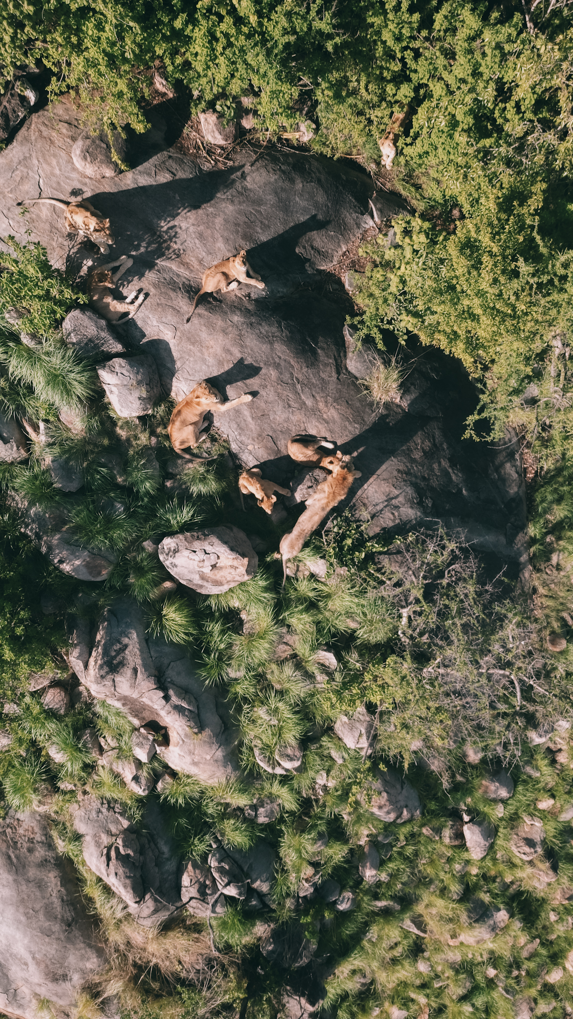 dji_fly_20241208_141442_113_1733663674396_photo